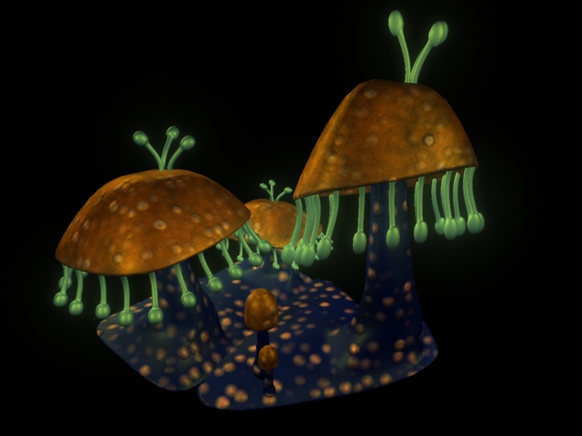 Plant Mushroom Multiple Final