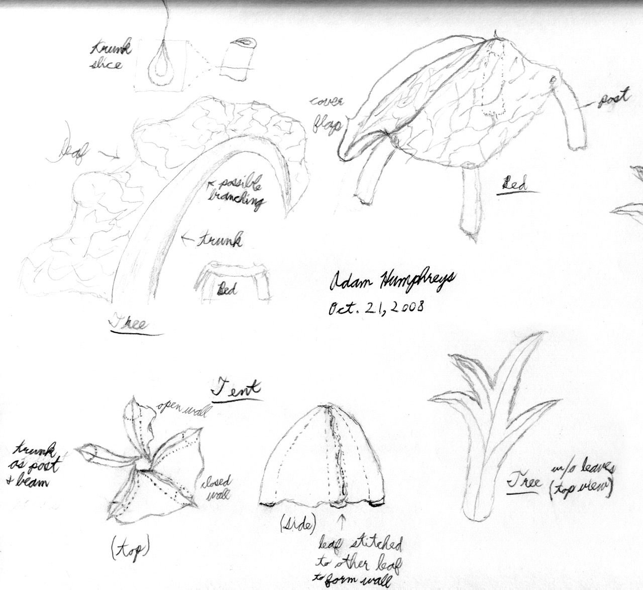 Project 2, Environment Concept