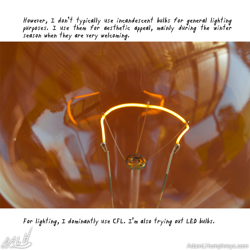 I Collect Light Bulbs 03