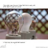 I Collect Light Bulbs 30